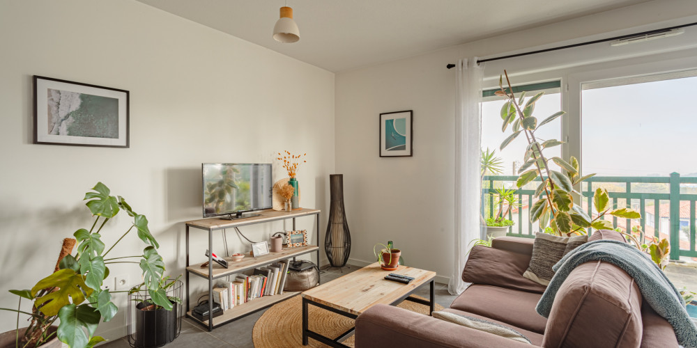 appartement à ST PIERRE D IRUBE (64990)